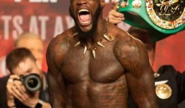 拳王维尔德爆料图解视频,图解震撼拳击技巧与策略